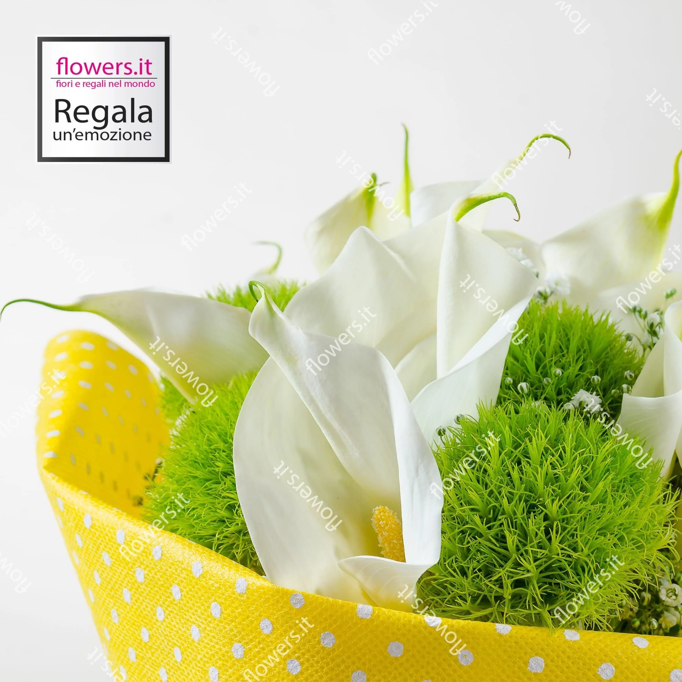 AMICIZIA - Calle e green trek - Mazzo di calle con verde decorativo. | Flowers Delivery Consegna Fiori a Domicilio