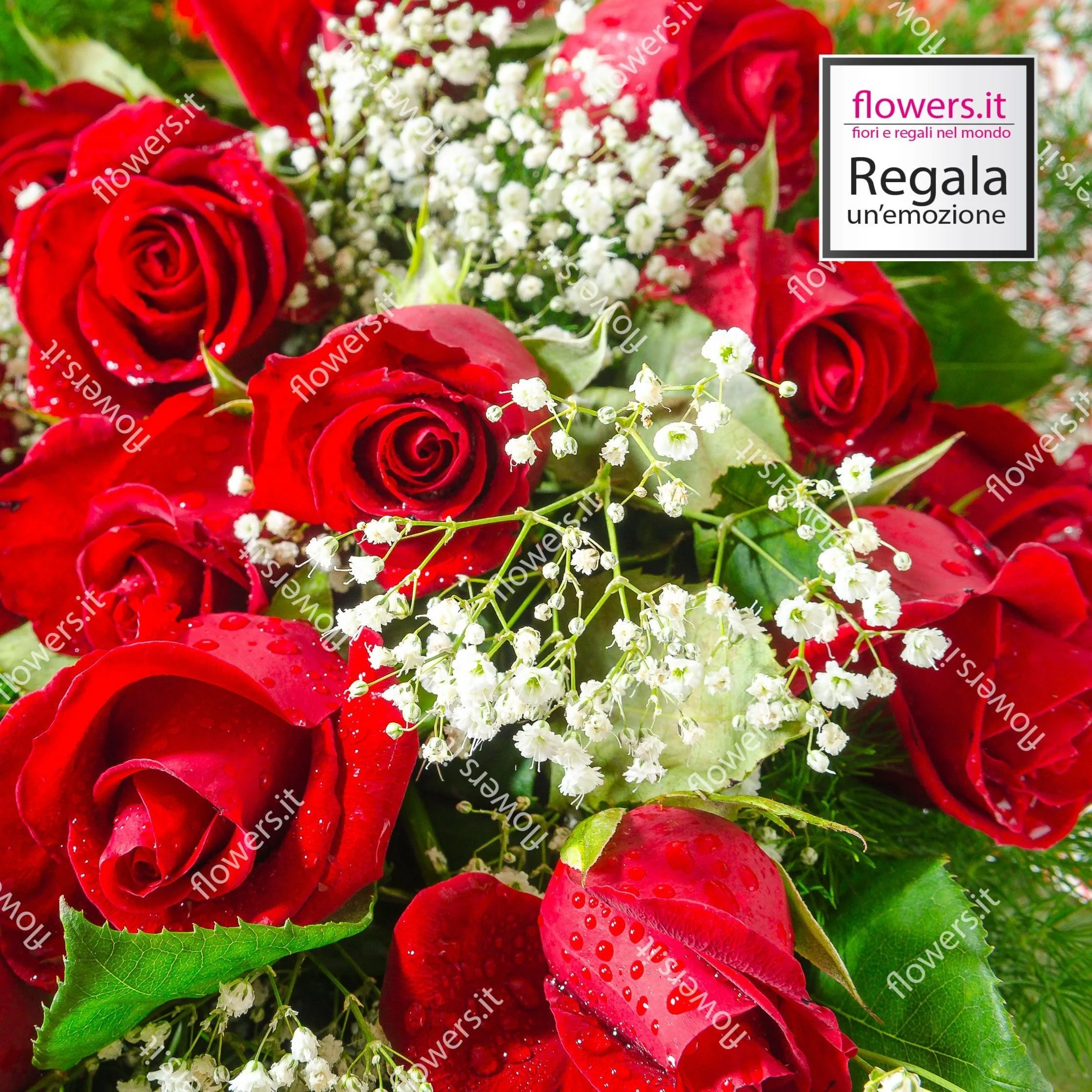 AMORE - Fascio di rose rosse - 6 rose rosse con verde e Gypsophila. | Flowers Delivery Consegna Fiori a Domicilio
