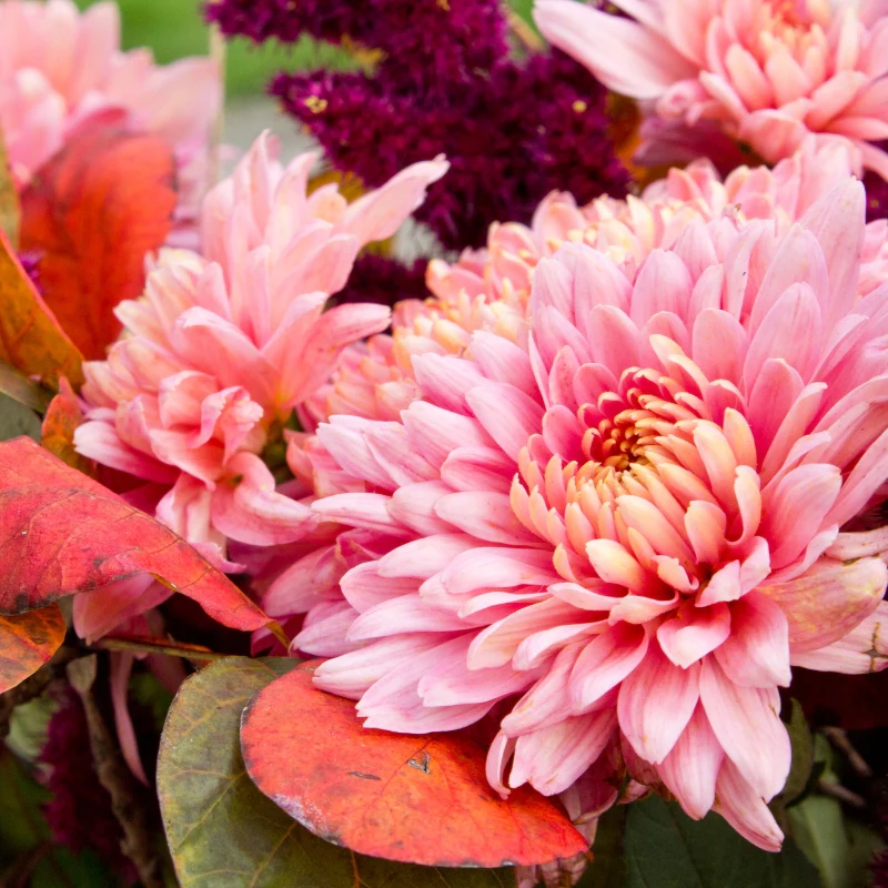 _img_banner_