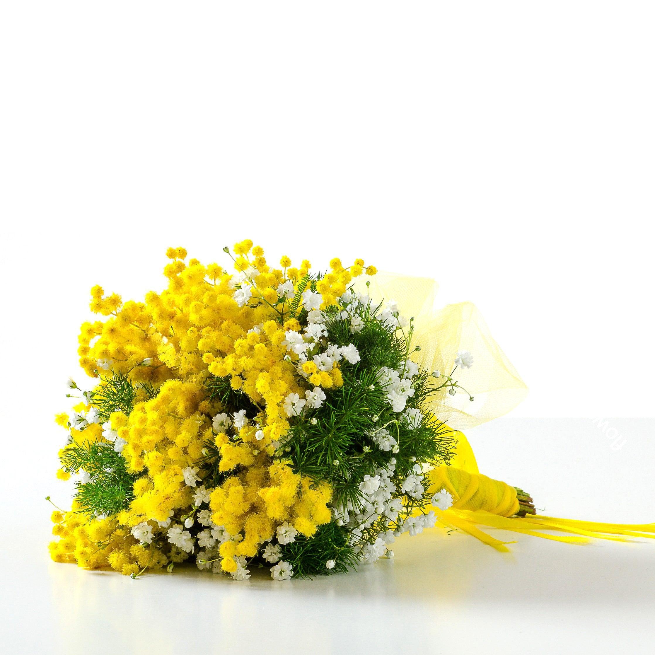 LA FORZA DELLE DONNE - Mimosa - Bouquet classico di mimosa. | Flowers Delivery Consegna Fiori a Domicilio